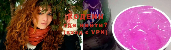 хмурый Корсаков
