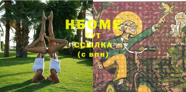 хмурый Корсаков