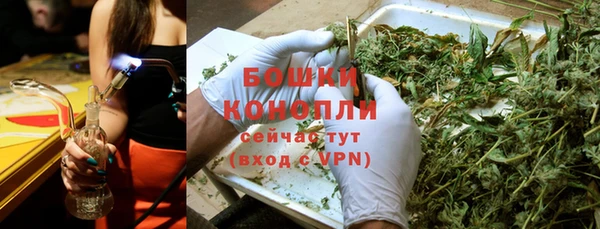 хмурый Корсаков