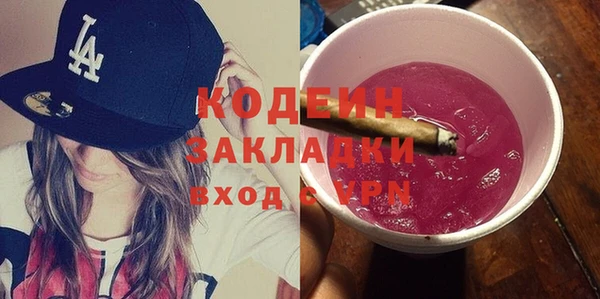 хмурый Корсаков