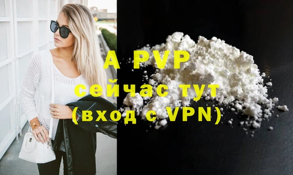 хмурый Корсаков