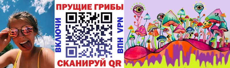 Купить закладки  Энем  Галлюциногенные грибы ЛСД 